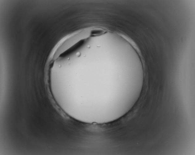 X0000083061104200703022128