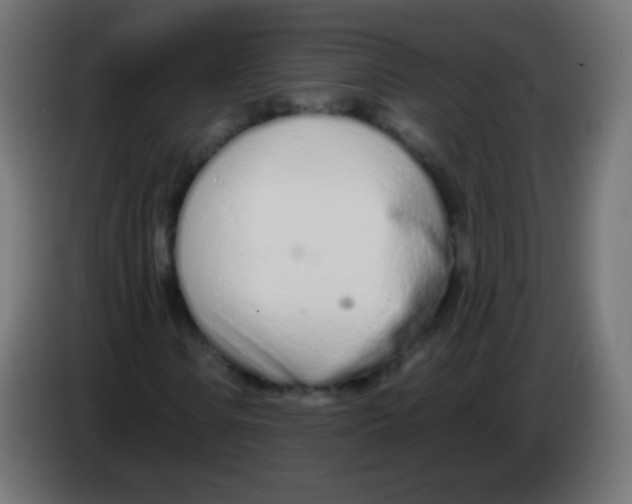 X0000083061106200703022127