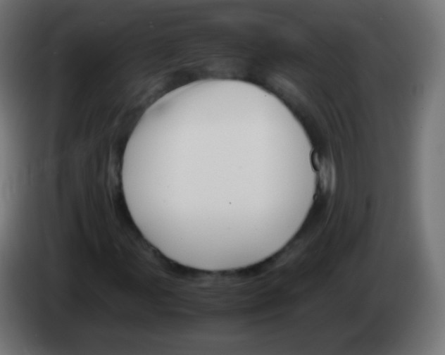 X0000083061107200703022127