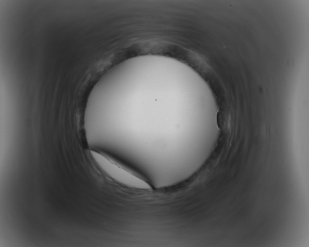 X0000083061108200703022127