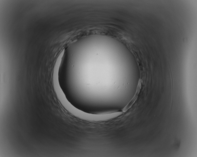 X0000083061109200703022127