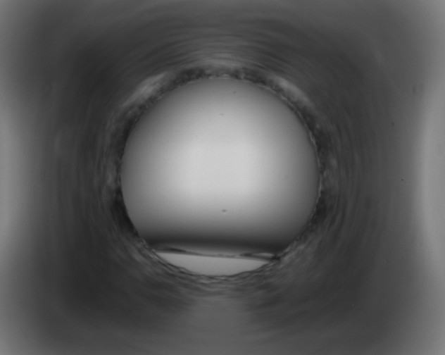 X0000083061110200703022127