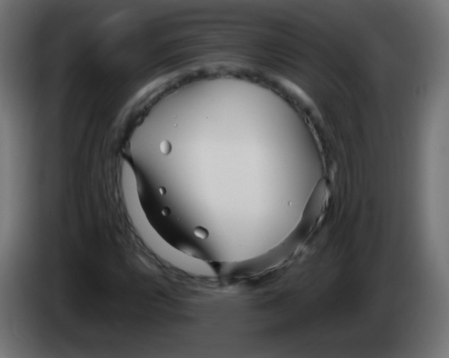 X0000083061112200703022127