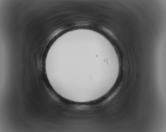 X0000083061113200703022127