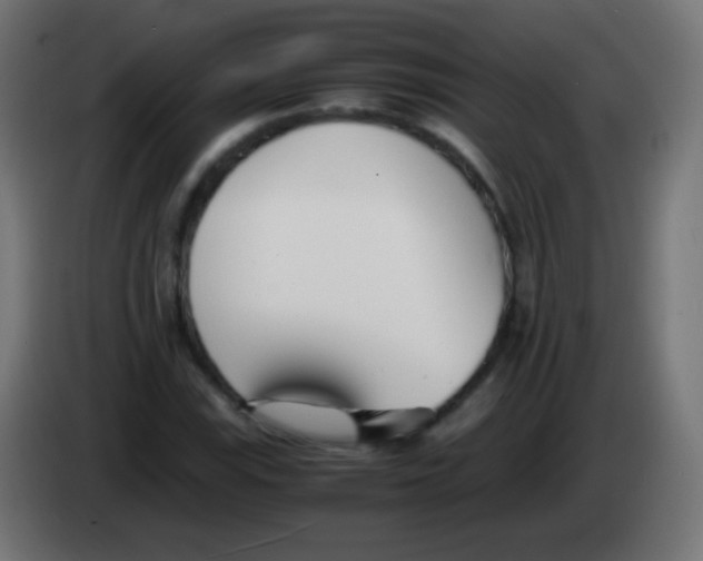 X0000083061115200703022127