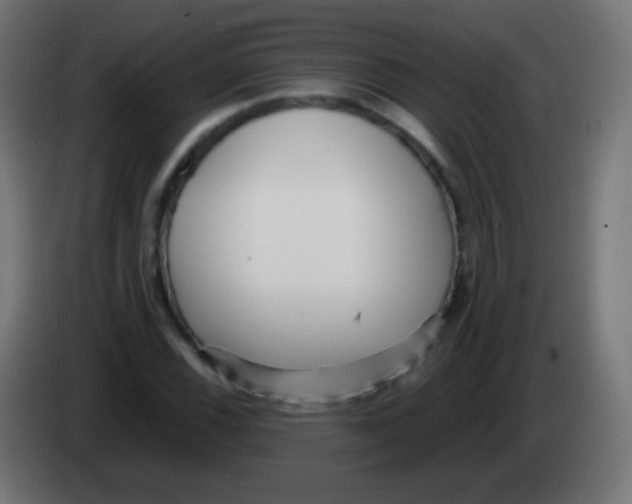 X0000083061116200703022127