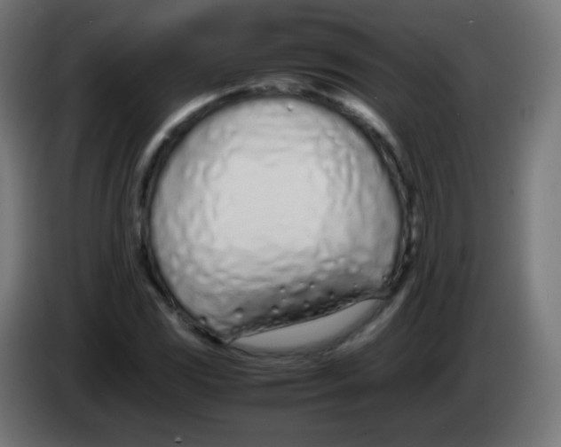 X0000083061117200703022127