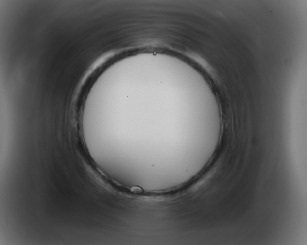 X0000083061118200703022127