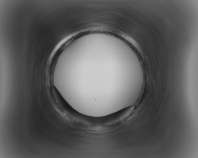 X0000083061120200703022127