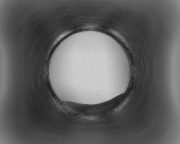 X0000083061121200703022127