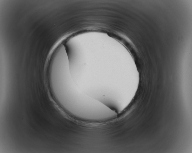 X0000083061122200703022127