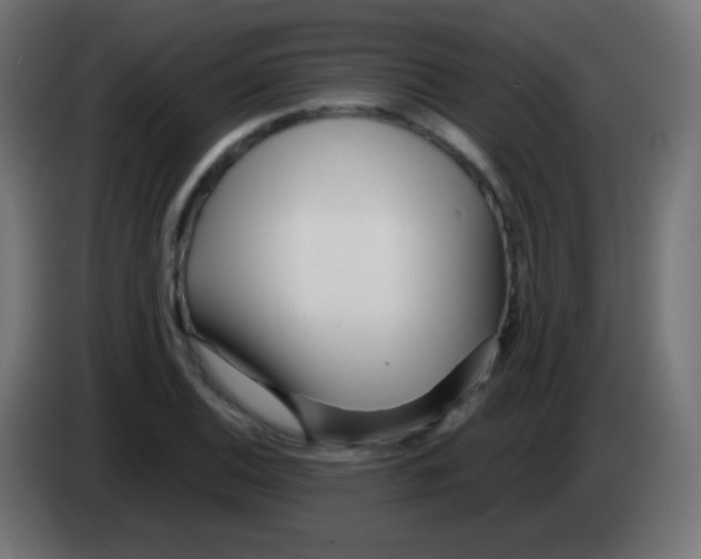 X0000083061124200703022127