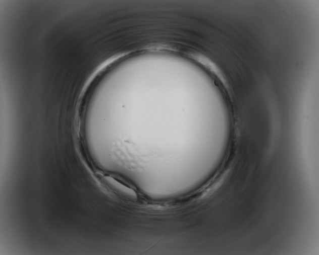 X0000083061125200703022127