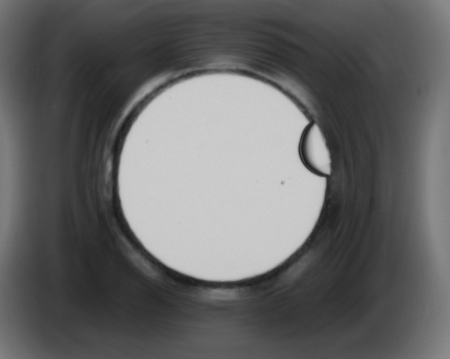 X0000083061126200703022127