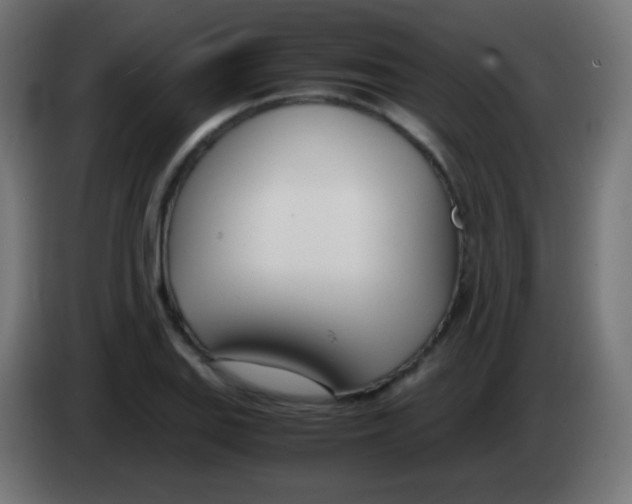 X0000083061127200703022127