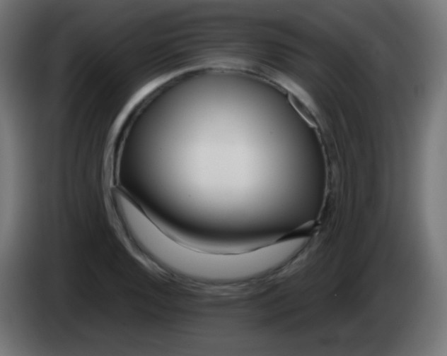 X0000083061128200703022127