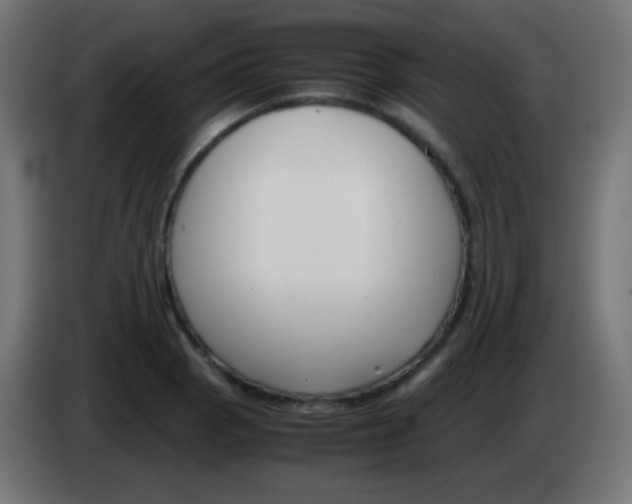 X0000083061129200703022127