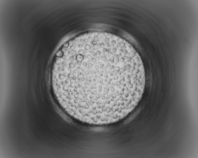X0000083061130200703022127