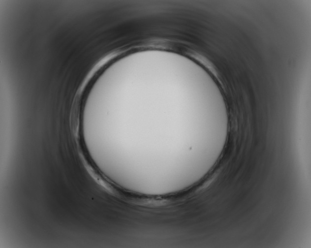 X0000083061131200703022127