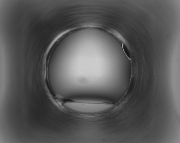 X0000083061132200703022127