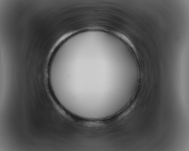 X0000083061133200703022127