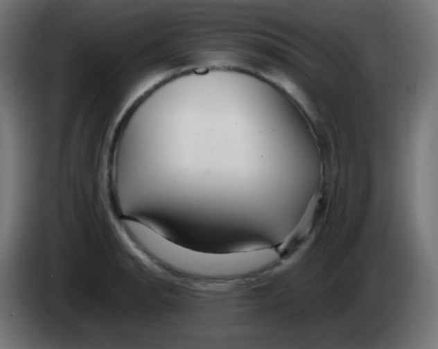 X0000083061134200703022127