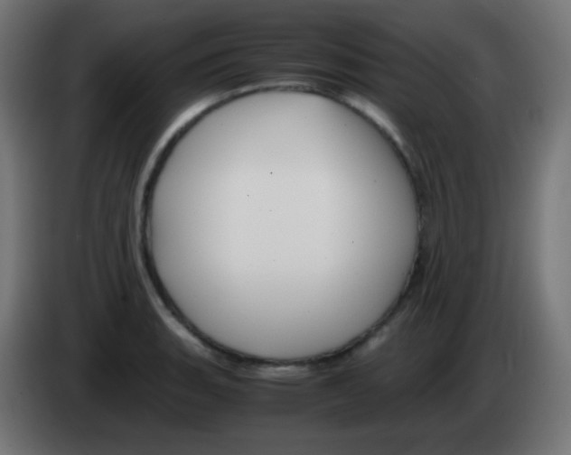 X0000083061135200703022127