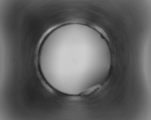 X0000083061136200703022127