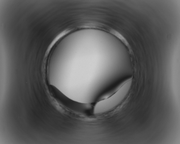 X0000083061138200703022128