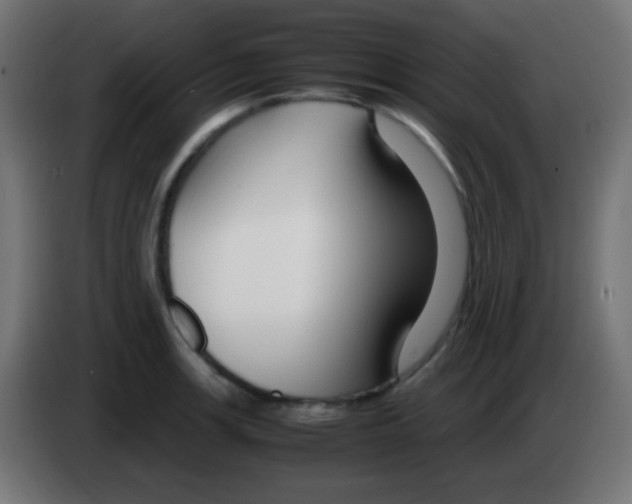 X0000083061139200703022128