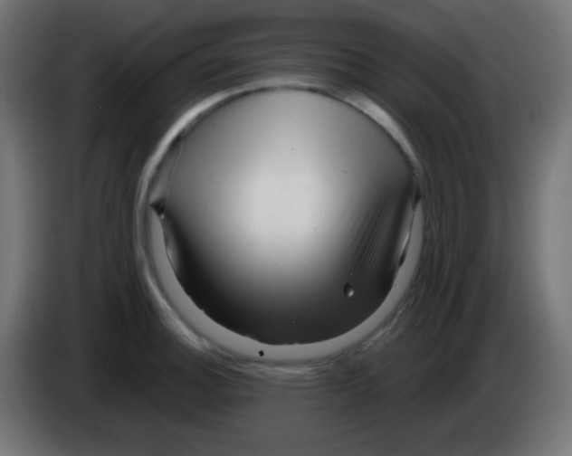 X0000083061140200703022128