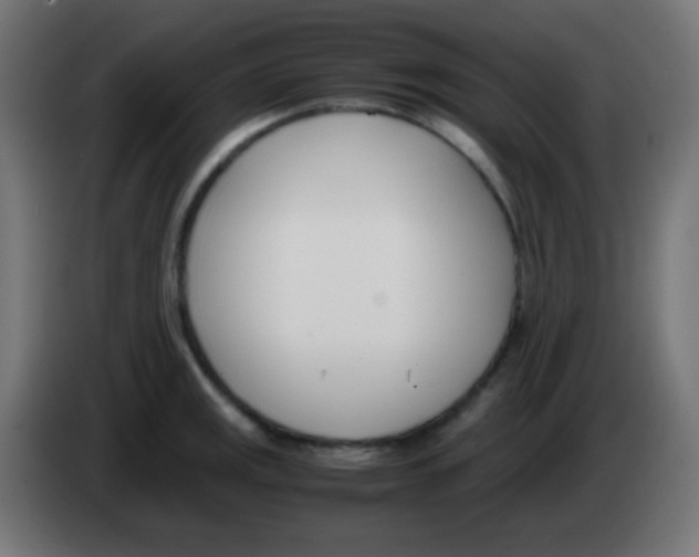 X0000083061141200703022128