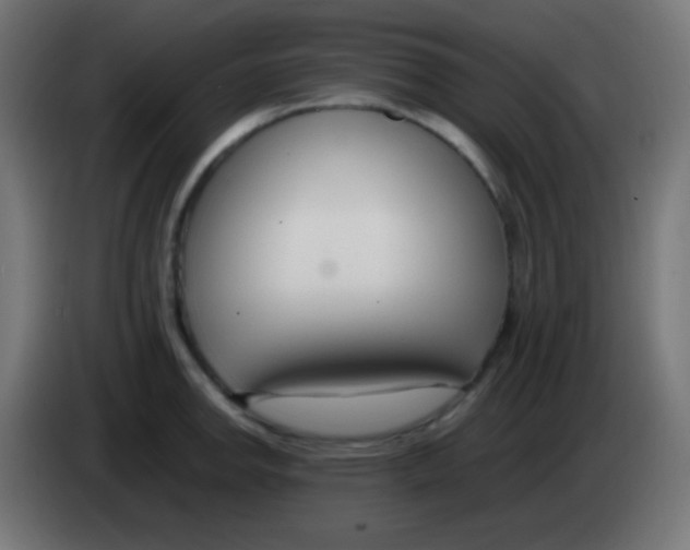 X0000083061142200703022128