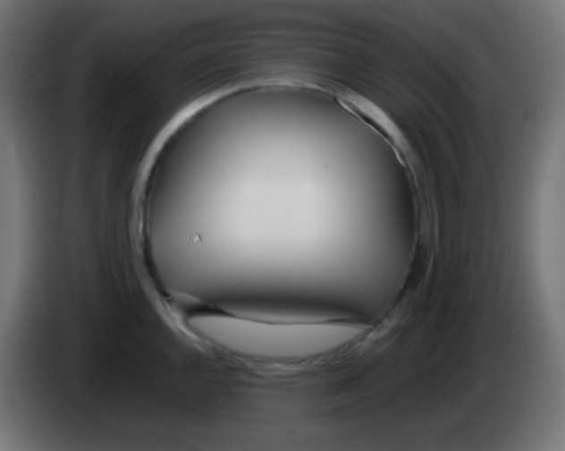 X0000083061144200703022128