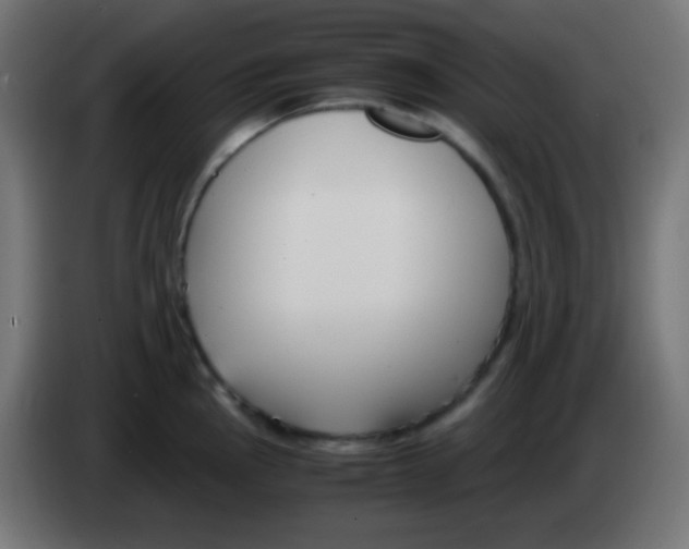 X0000083061145200703022128