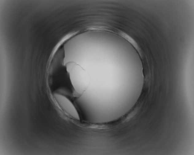 X0000083061146200703022128