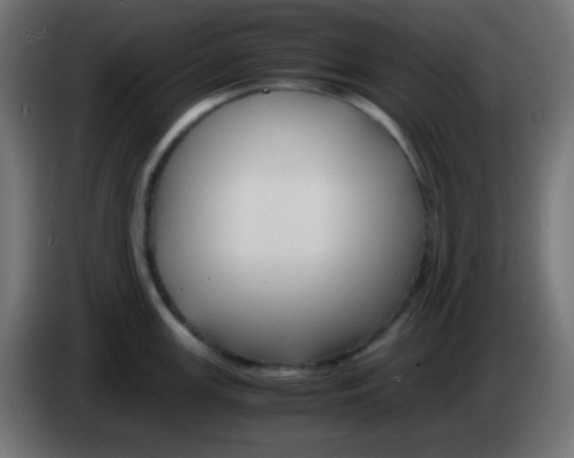 X0000083061147200703022128