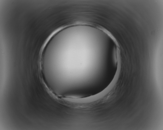 X0000083061148200703022128