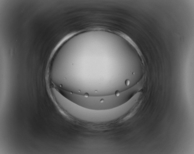 X0000083061149200703022128