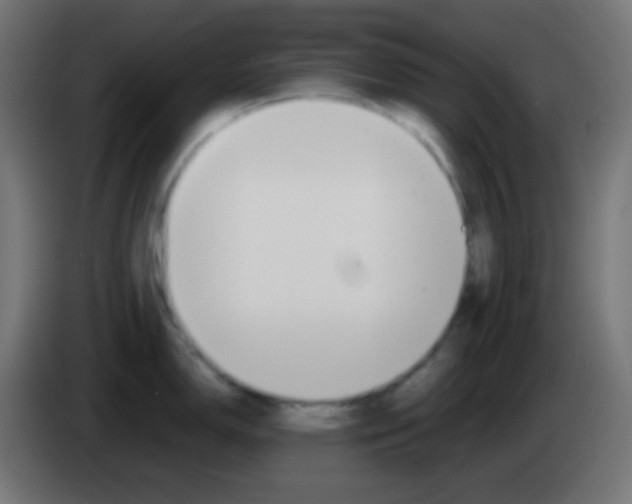 X0000083061150200703022128