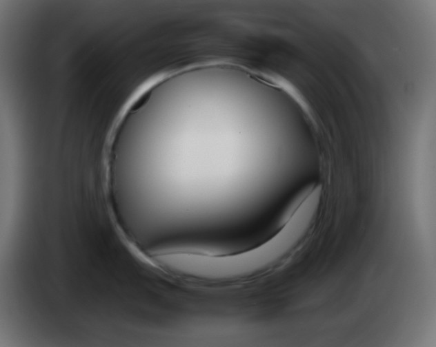 X0000083061151200703022128