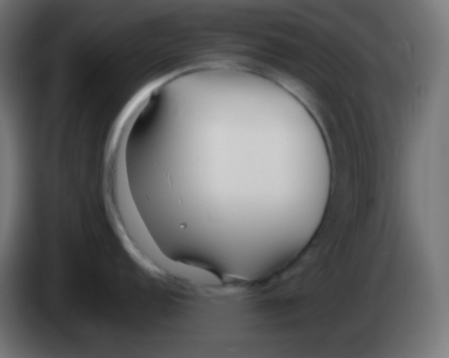 X0000083061152200703022128