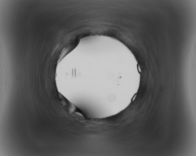 X0000083061153200703022127