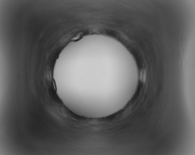 X0000083061155200703022127