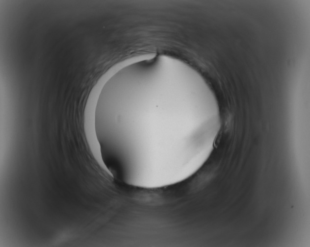 X0000083061156200703022127