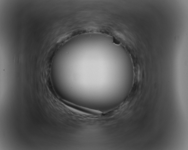 X0000083061157200703022127