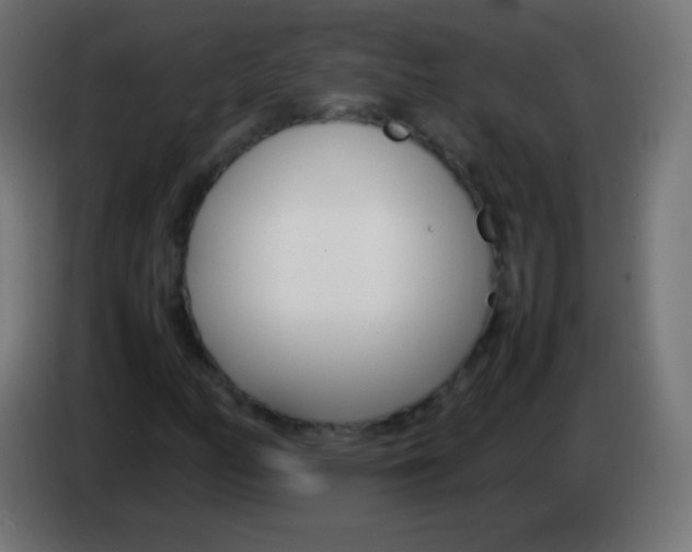 X0000083061158200703022127