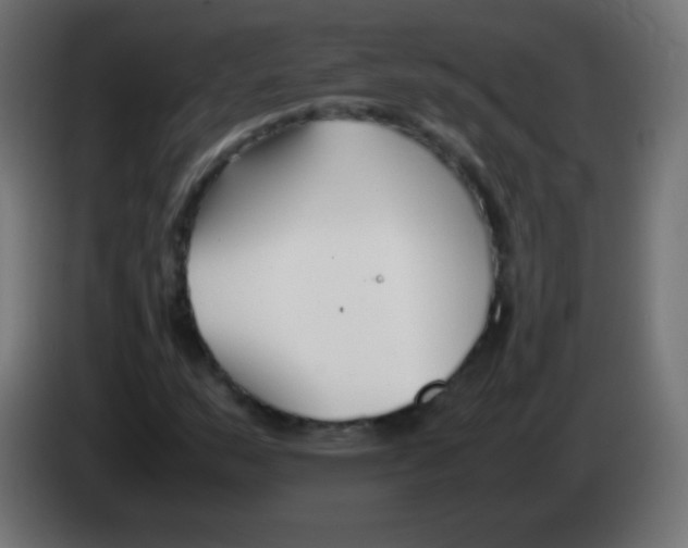 X0000083061159200703022127