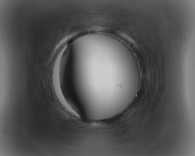 X0000083061160200703022127