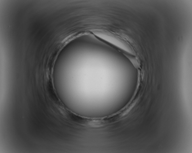 X0000083061161200703022127